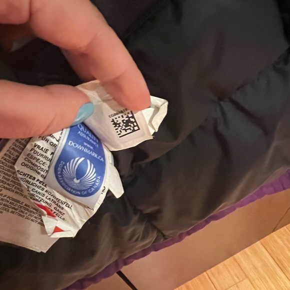 Purple Canada Goose - Picture 7 of 8